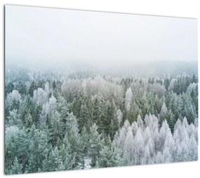 Sklenený obraz - Zasnežené vrcholky lesov (70x50 cm)