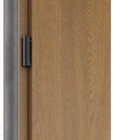 Kovové vchodové dvere S68 Clear 90 Ľ dub zlatý