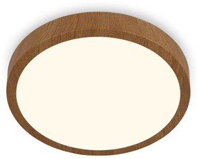 Brilo - LED Stropné svietidlo RUNA LED/24W/230V