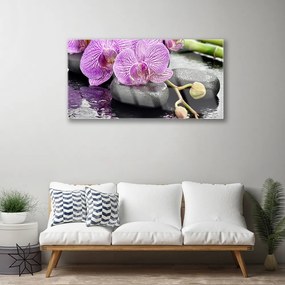 Obraz plexi Kamene zen orchidea kúpele 100x50 cm