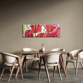 Obraz - Kvety vlčích makov (s hodinami) (90x30 cm)