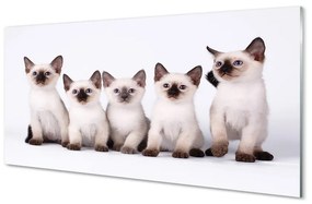 Nástenný panel  malé mačky 100x50 cm