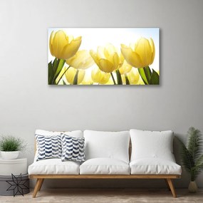 Obraz Canvas Tulipány kvety lúče 140x70 cm