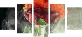 5-dielny obraz ruža s abstraktnými prvkami Varianta: 100x50