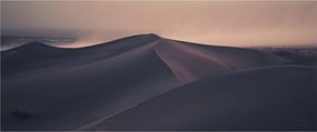 Obraz - Piesočné duny (120x50 cm)