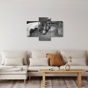 Obraz - Zamilované kone, čiernobiela (90x60 cm)