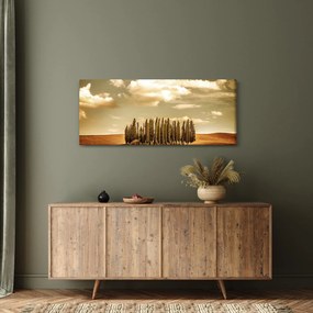 Obraz čistinky (120x50 cm)
