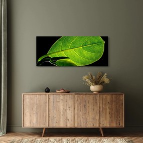 Obraz - zelený list (120x50 cm)
