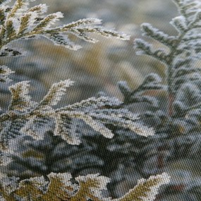 Obraz - Detail vetvy (90x60 cm)