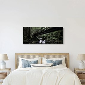 Obraz z čierneho lesa (120x50 cm)