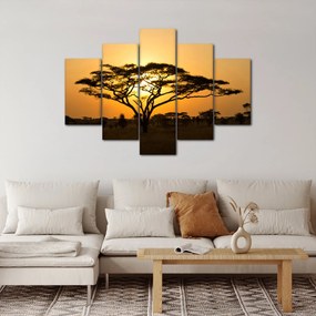 Obraz - Africká savana (150x105 cm)
