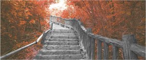 Obraz - Schody v prírode, oranžová (120x50 cm)
