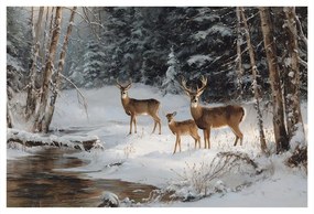 Vianočný obraz zimný les s krásnymi jeleňmi
