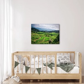 Obraz ryžových polí (70x50 cm)