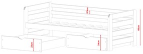 Detská posteľ 90 x 200 cm Erin (s roštom a úl. priestorom) (borovica). Vlastná spoľahlivá doprava až k Vám domov. 1012940
