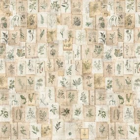 VLADILA Vintage Herbarium - tapeta