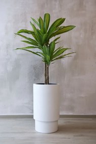 Kvetináč ESCADA, sklolaminát, výška 60 cm, biely