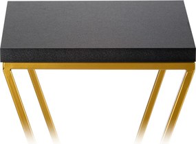 STOJAN NA KVETINÁČ LOFT6 40X24X24 CM ZLATÁ/ČIERNA