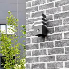 Vonkajšie nástenné svietidlo so senzorom TEKSAS 1xE27/12W/230V IP44 antracit