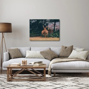 Obraz dvoch žiráf (70x50 cm)
