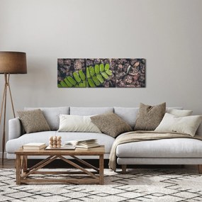 Obraz zelenej rastliny (s hodinami) (90x30 cm)