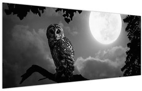 Obraz - Nočná sova, čiernobiela (120x50 cm)