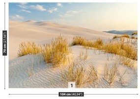 Fototapeta Vliesová Bunesk dunes 312x219 cm