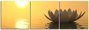 Obraz na plátne - Zen lotus - panoráma 5167B (120x40 cm)