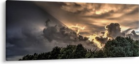Obraz mračien a lesa (120x50 cm)