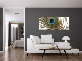 Obraz pávieho peria (120x50 cm)