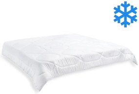 Brotex Prikrývka Luxus plus 240x220cm zimná 2370g (450g/m2)