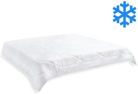 Brotex Prikrývka Luxus plus 240x220cm zimná 2370g (450g/m2)