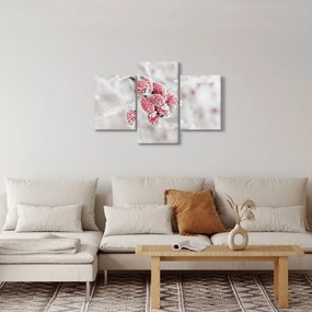 Obraz - Zamrznuté plody (90x60 cm)