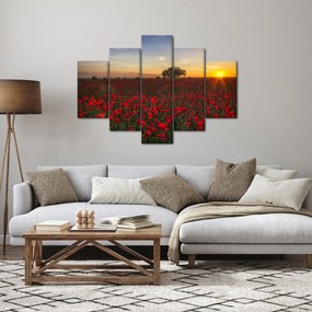 Obraz lúky s vlčími makmi (150x105 cm)