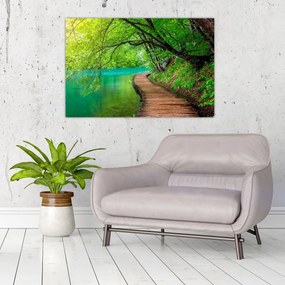 Obraz - Plitvické jazerá (90x60 cm)