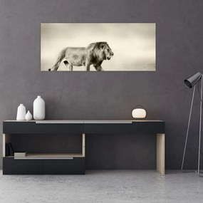 Obraz - Hladný lev (120x50 cm)