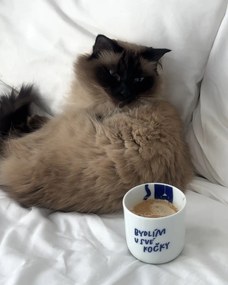 Bella Rose Porcelánový hrnček Bydlím u své kočky 270 ml