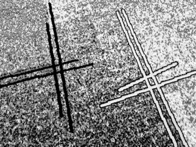 DC Koberec PP 011 sivá Rozmer: 250×350 cm