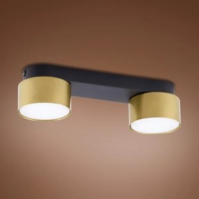 Bodové svietidlo SPACE GOLD 2xGX53/15W/230V