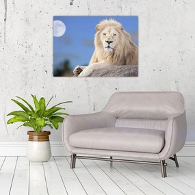 Sklenený obraz - Biely lev (70x50 cm)
