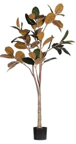 Umelý fikus (výška 170 cm) – WOOOD