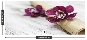 Fototapeta Vliesová Orchideovej drevo 152x104 cm