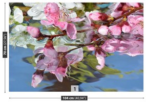 Fototapeta Vliesová Čerešňový kvet vody 104x70 cm