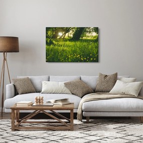 Obraz prírody - lúka (90x60 cm)