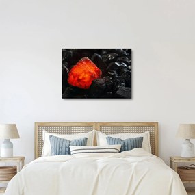 Obraz - Žeravý nerast (70x50 cm)