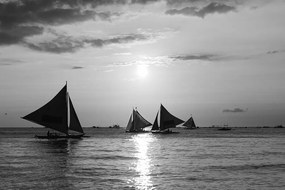 Fototapeta plachetnice pri západe slnka v čiernobielom prevedení