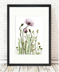 Obraz Tablo Center Wild Plants, 24 × 29 cm