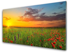 Obraz plexi Slnko lúka kvety príroda 100x50 cm