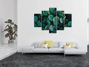 Obraz - Opuncie (150x105 cm)