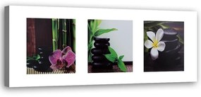 Obraz na plátně Lázně Orchid Zen Stones - 120x40 cm